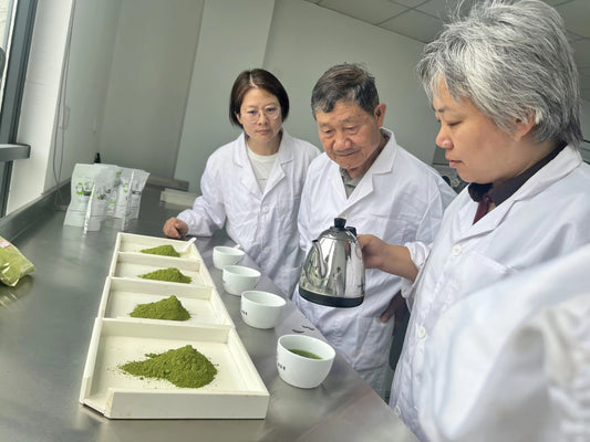 La création du matcha en Chine : Un art ancestral en 5 étapes clés